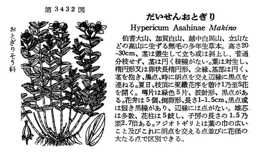 植物図鑑