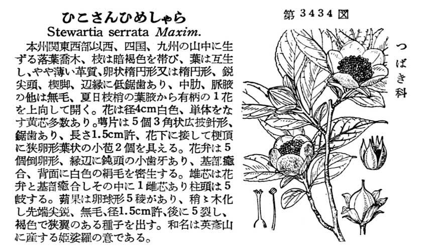 植物図鑑