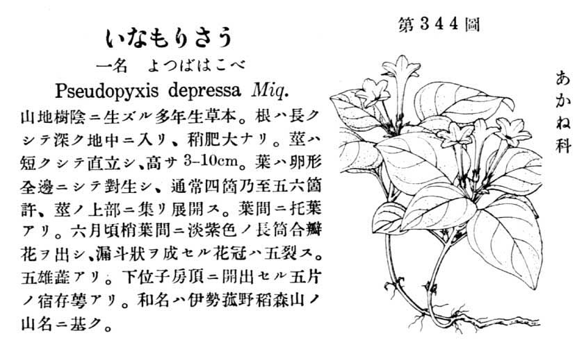 植物図鑑