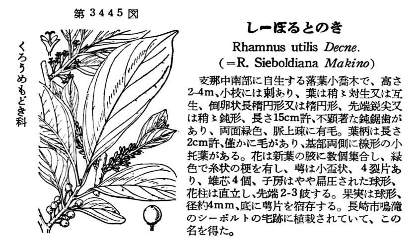 植物図鑑