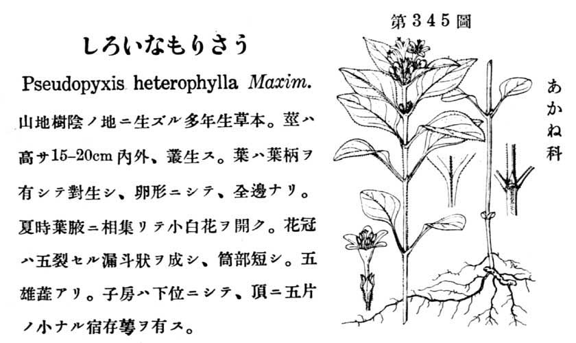 植物図鑑