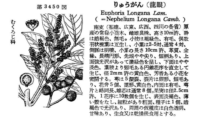 植物図鑑