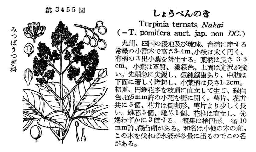 植物図鑑