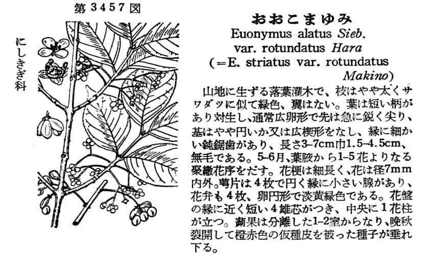 植物図鑑