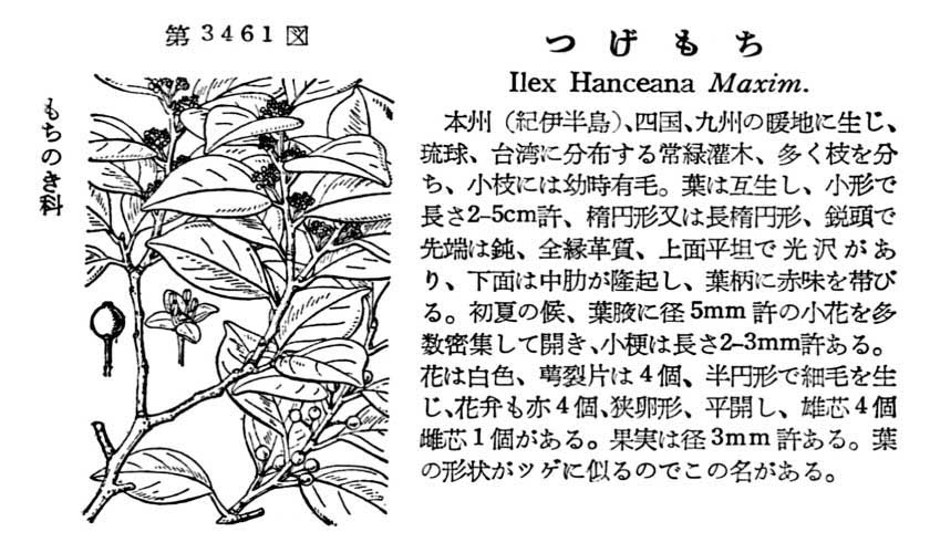 植物図鑑