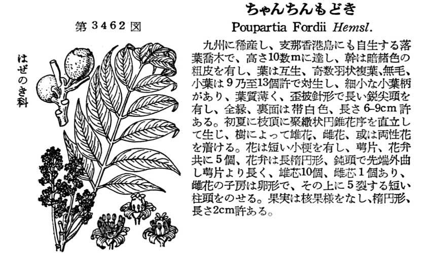 植物図鑑