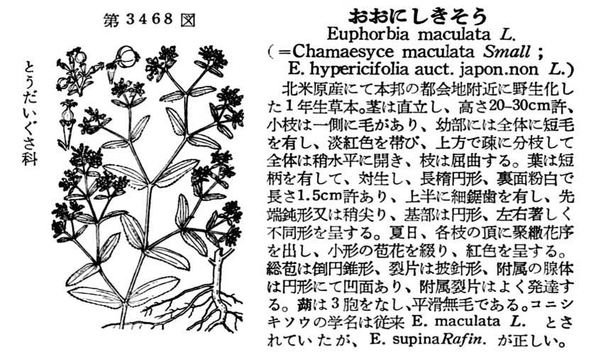 植物図鑑