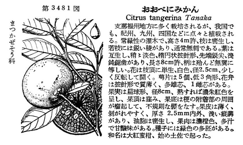 植物図鑑