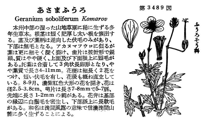 植物図鑑