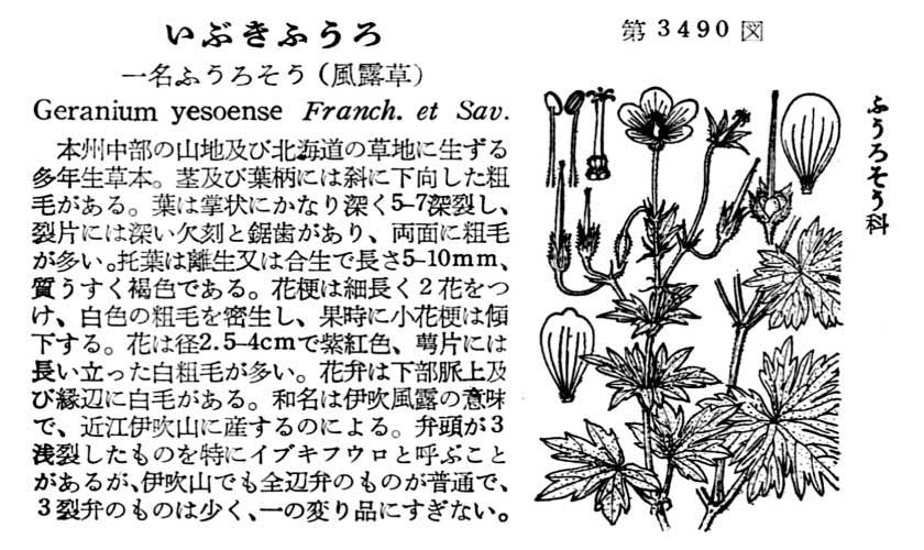 植物図鑑