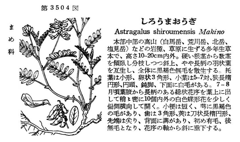 植物図鑑