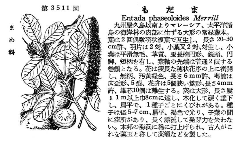 植物図鑑