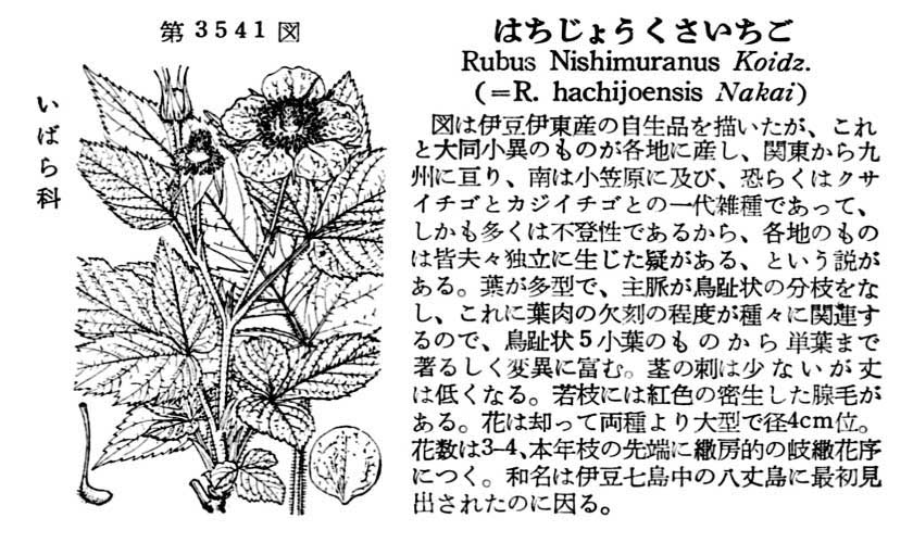 植物図鑑