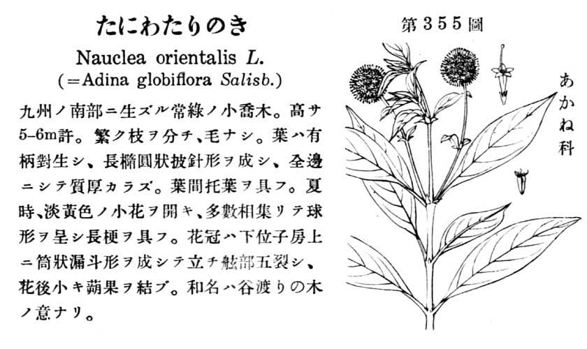 植物図鑑