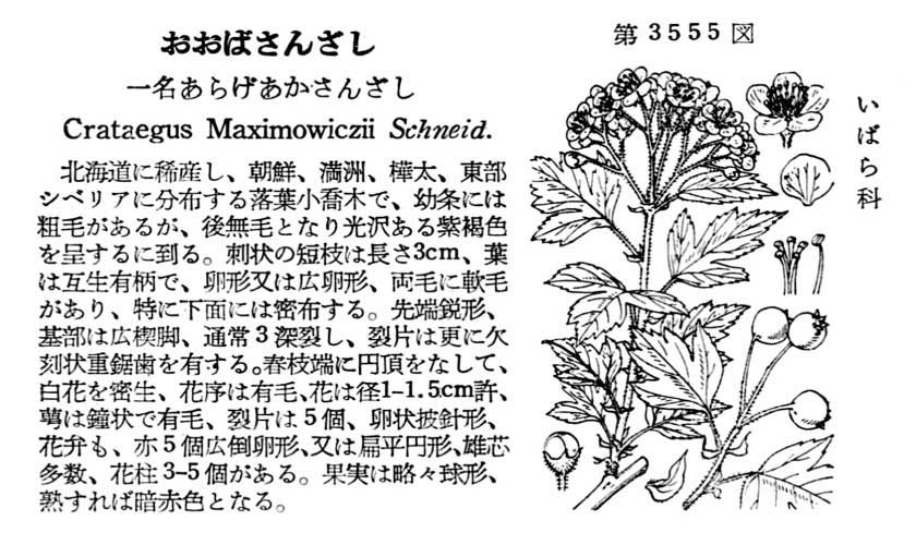 植物図鑑