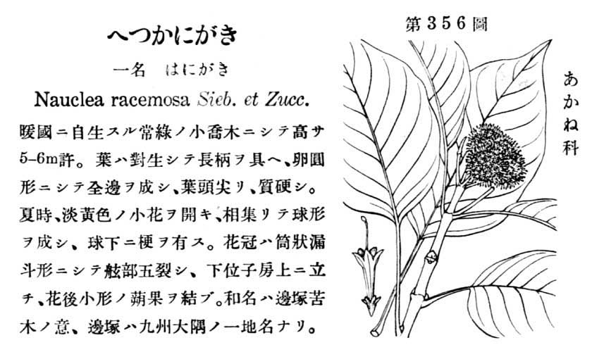 植物図鑑