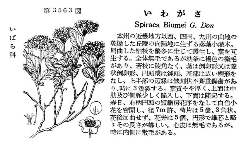 植物図鑑