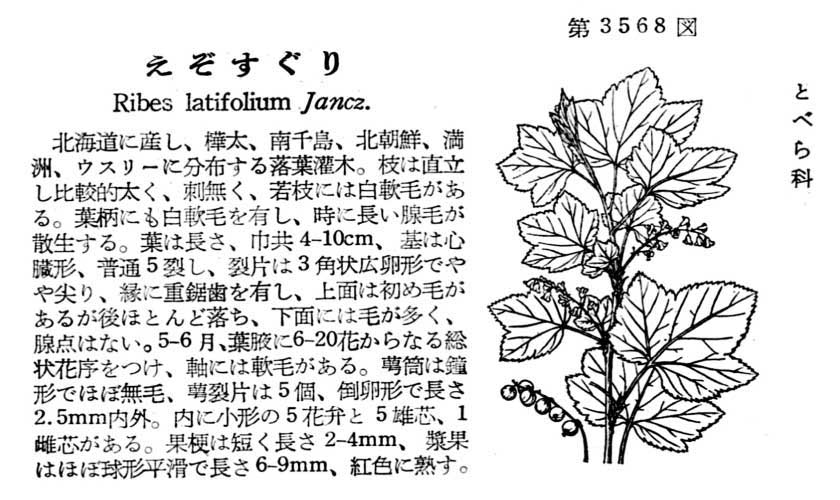 植物図鑑