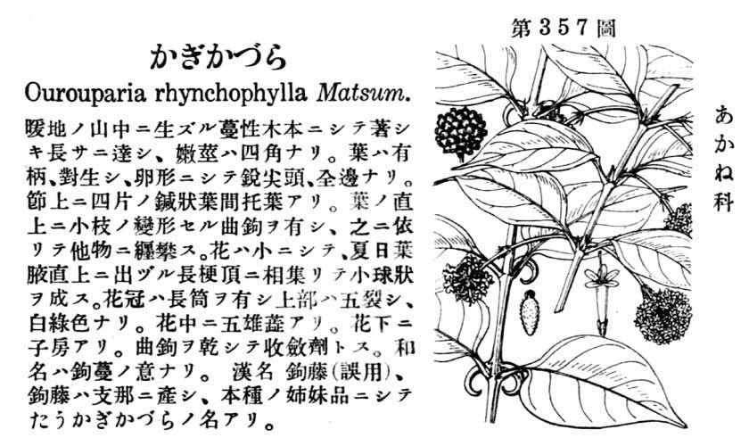 植物図鑑