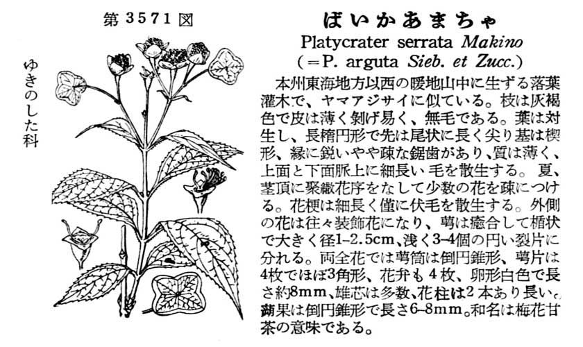 植物図鑑