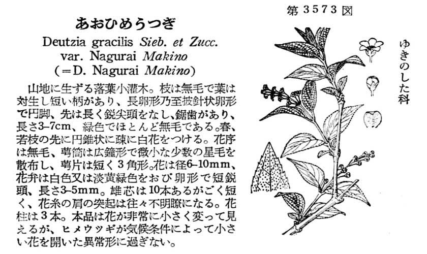 植物図鑑