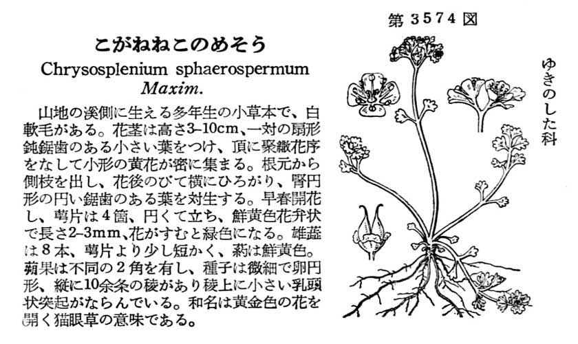 植物図鑑