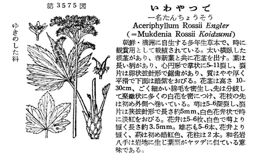 植物図鑑