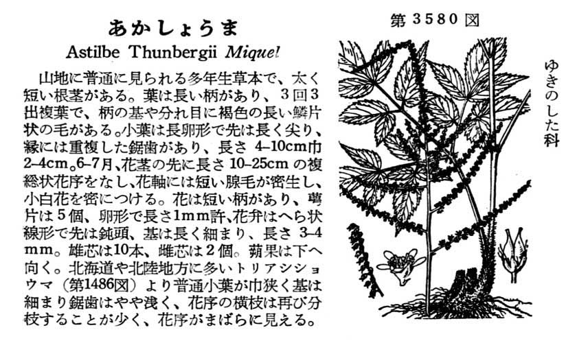 植物図鑑