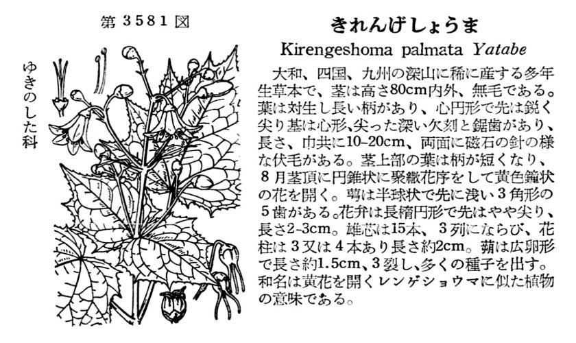 植物図鑑