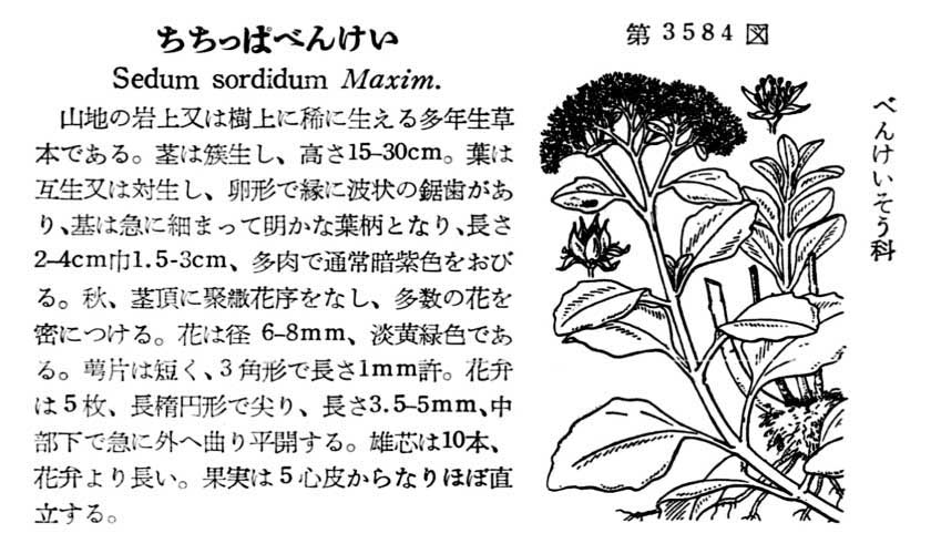 植物図鑑