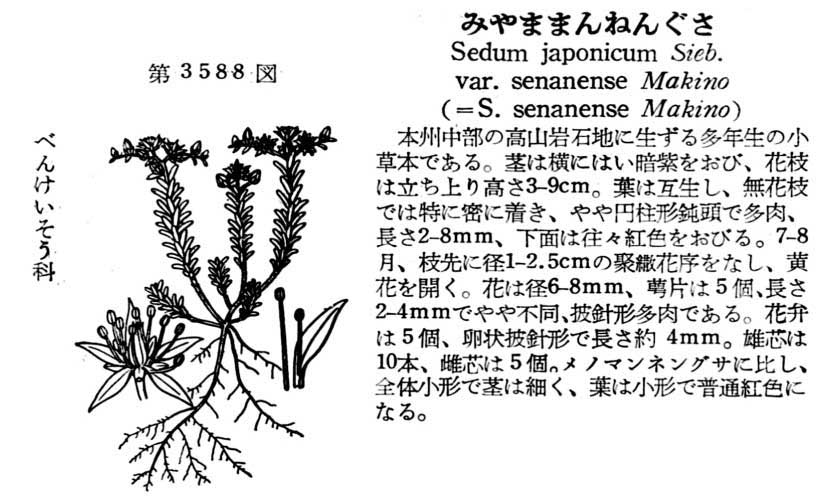 植物図鑑