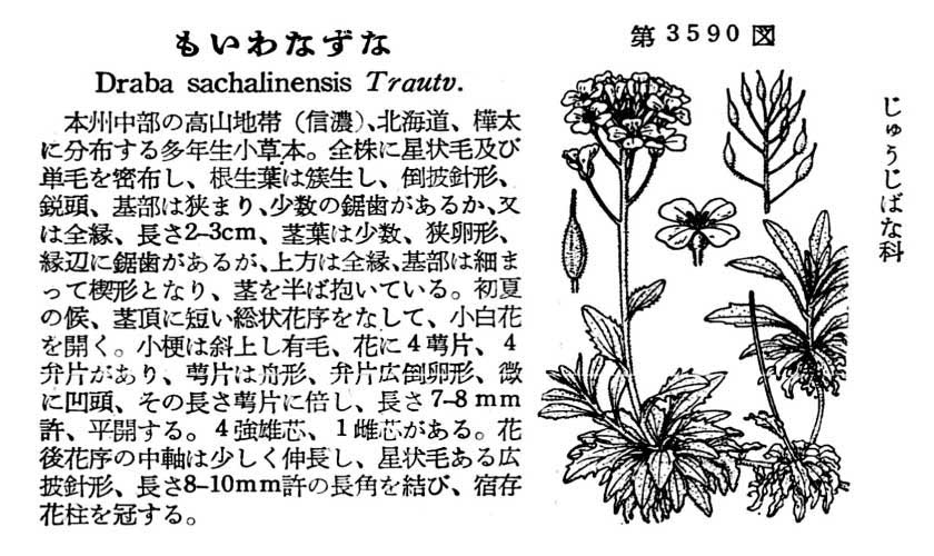 植物図鑑