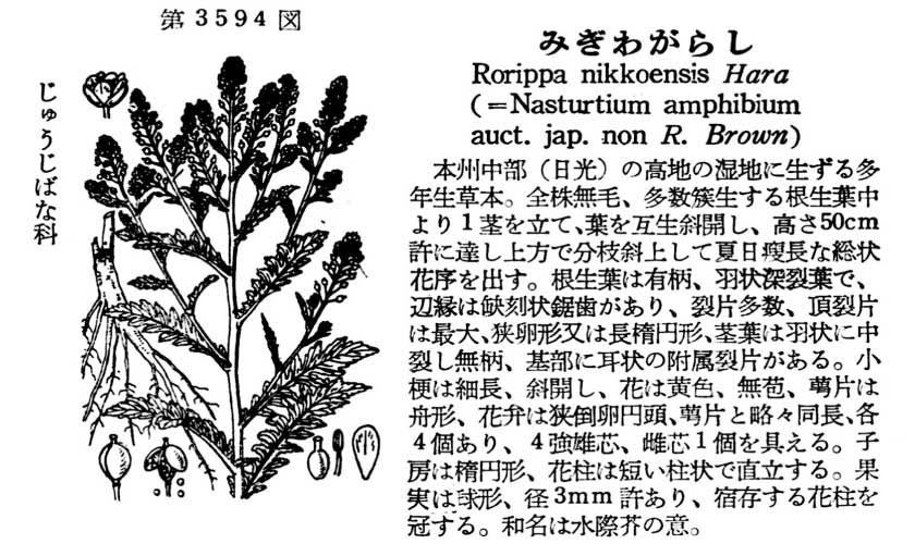 植物図鑑