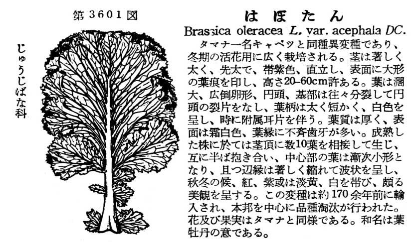 植物図鑑