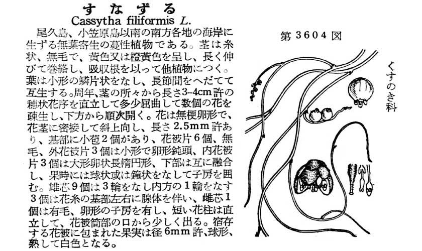 植物図鑑