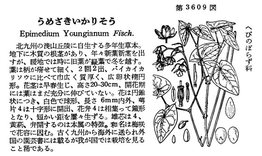 植物図鑑