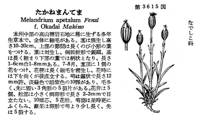 植物図鑑