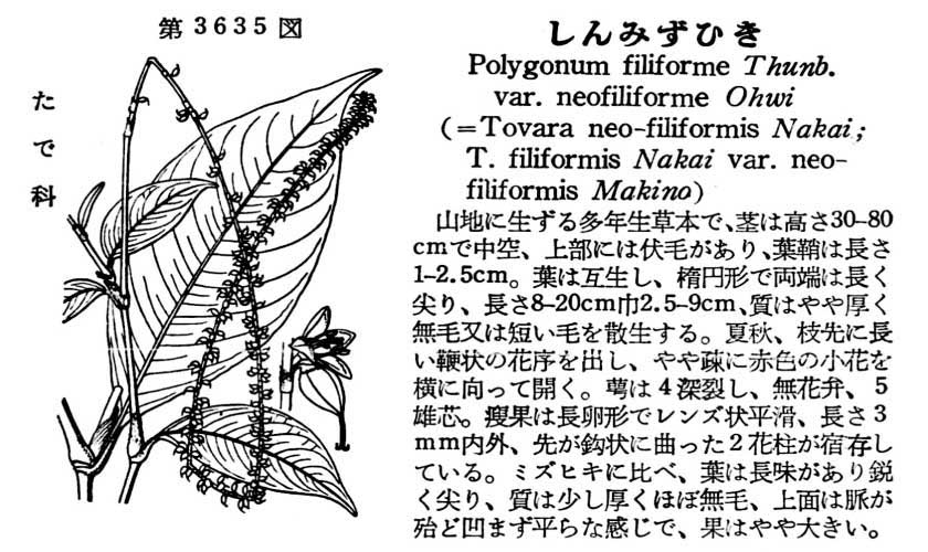 植物図鑑