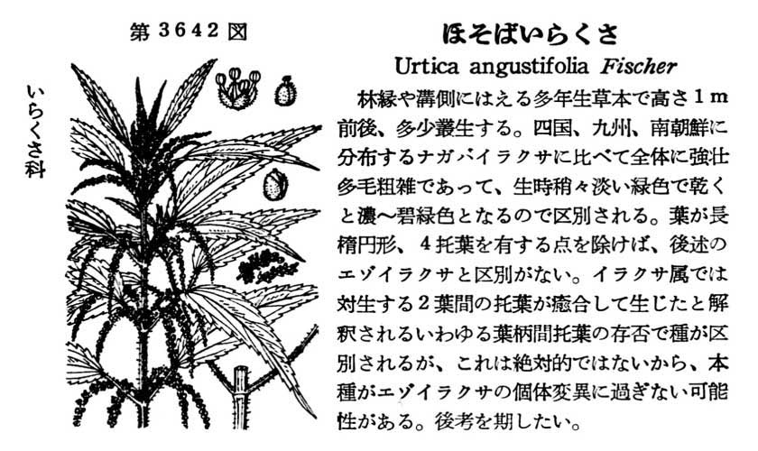 植物図鑑