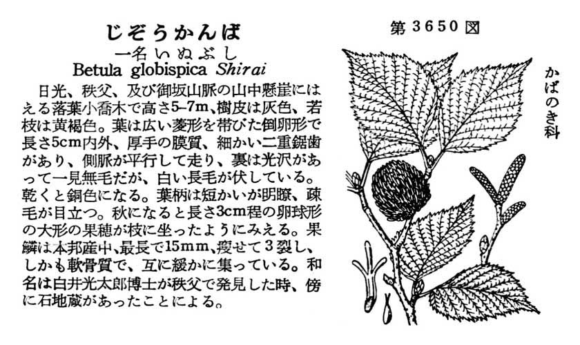 植物図鑑