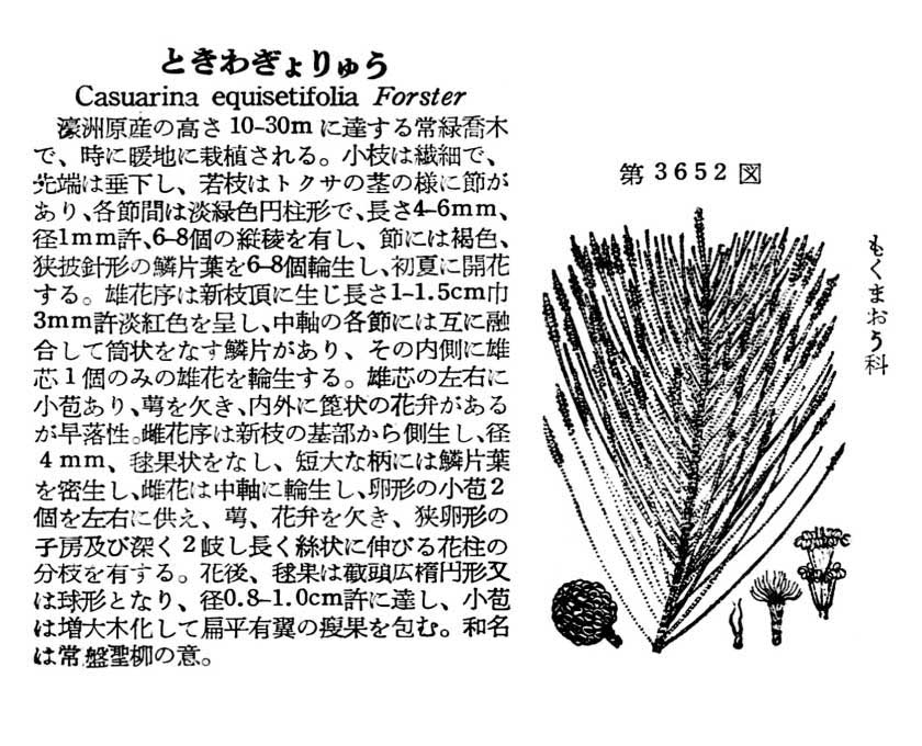 植物図鑑