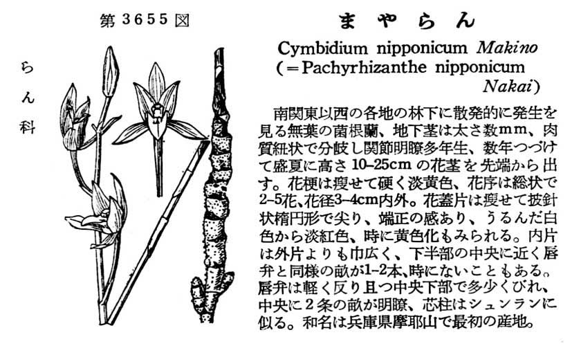 植物図鑑