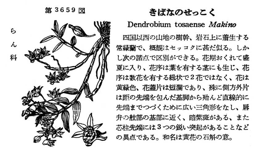 植物図鑑