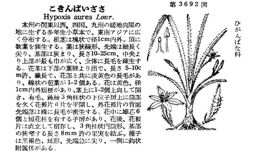 植物図鑑