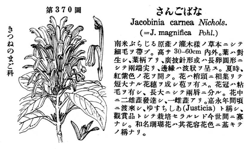 植物図鑑