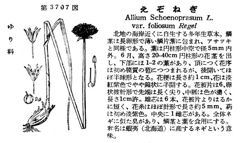 植物図鑑