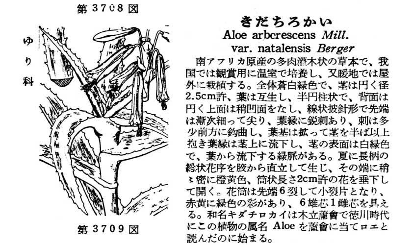 植物図鑑