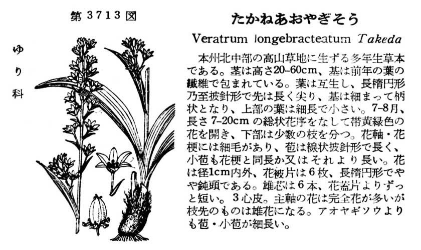 植物図鑑