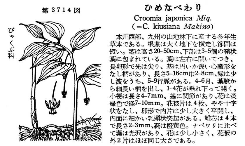 植物図鑑