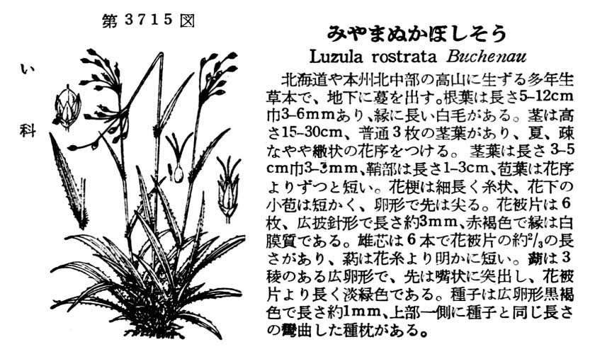 植物図鑑